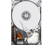   Seagate NAS Ironwolf 10Tb ST10000VN000