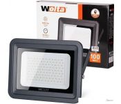  Wolta WFL-100W/06