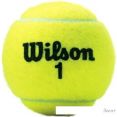  Wilson Championship Extra Duty WRT100101 (3 )