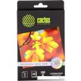  CACTUS  A6 260 /.. 20  (CS-HGA626020)