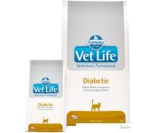    Farmina Vet Life Diabetic 2 