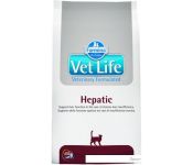    Farmina Vet Life Hepatic 2 