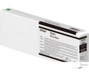    Epson C13T804100