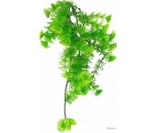   Lucky Reptile Turtle Plant Horn Fern TP-42