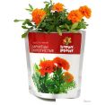    Happy plant   hpn-30