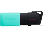 USB Flash Kingston DataTraveler Exodia M 256GB [DTXM/256GB]