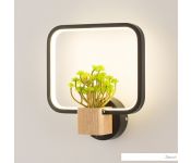  Home Light  C056-4-B