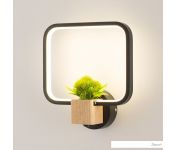  Home Light  C056-3-B