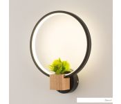  Home Light  C056-1-B