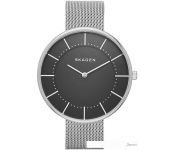   Skagen SKW2561