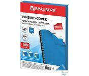     BRAUBERG A4 300  100  530941 ()