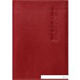    BRAUBERG Passport 237178 ()