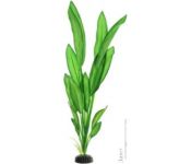   Barbus   Plant 046/10 ()