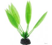   Barbus   Plant 009/10 ()