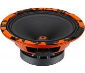   DL Audio Barracuda 165