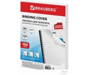     BRAUBERG A4 230 /2 100  530838 ()