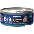     Brit Premium By Nature      100 