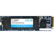 SSD CBR Standard 256GB SSD-256GB-M.2-ST22