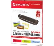    BRAUBERG Brauberg 6 125  100  530806 (, )