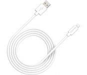  Canyon CNS-MFIC12B USB Type-A - Lightning (2 , )