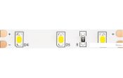   Maytoni Led strip 12 2835 4.8/ 6000 IP20 10104