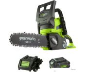   Greenworks G24CS25K4 ( 1- )