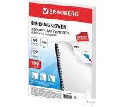     BRAUBERG A4 250 /2 100  530840 ()