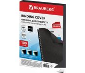     BRAUBERG A4 230 /2 100  530837 ()