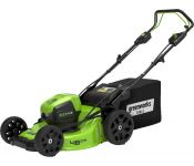   Greenworks GD60LM46SP ( 1-  4 Ah)