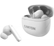  Canyon TWS-8 ()