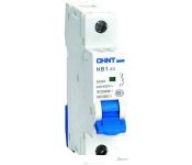   Chint NB1-63 1P 4A 6 C (DB)