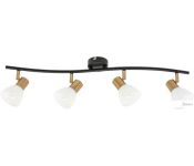  Arte Lamp Falena A3117PL-4BK