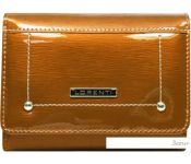  Cedar Lorenti 398904-SH-RFID (Champagne)