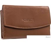  Cedar 4U Cavaldi RD-DB-10-GCL (D.Tan)