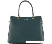   David Jones 823-CM6714-PBL ()