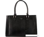   David Jones 823-CM6687-BLK ()