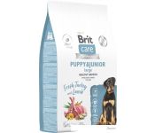     Brit Dog Puppy&Junior Large Healthy Growth     12 