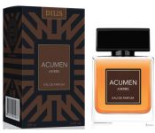   Dilis Parfum Acumen Ambre for Men EdP (100 )