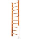   () Kampfer Classic Ceiling 3 (, )