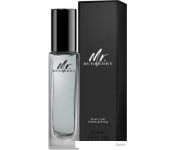 Burberry Mr. Burberry EdT (30 )