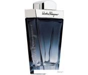   Salvatore Ferragamo Subtil EdT (100 )