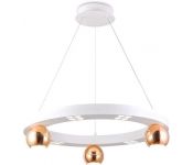   Ambrella light FL FL5959