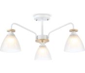    Ambrella light Traditional TR9562