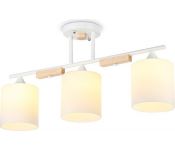    Ambrella light Traditional TR9546