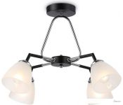    Ambrella light TR TR303293