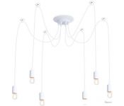   Ambrella light TR TR8177