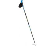     Viking Ruten Pro Nordic Walking 650/22/5190-15