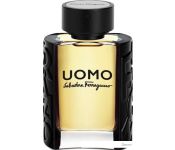   Salvatore Ferragamo Uomo EdT (30 )