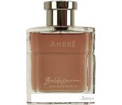 Baldessarini Ambre EdT (90 )