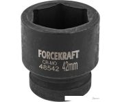   ForceKraft FK-48542